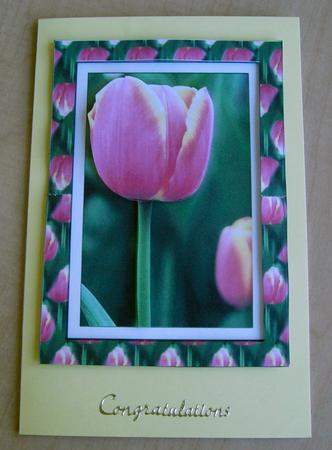Retirement Tulip Spinner by Eunice Roberts
