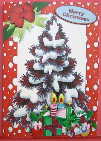 Christmas Tree in Red Snow Frame, A5 Card by Eunice Roberts