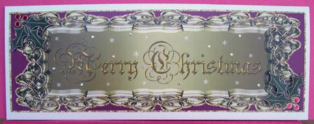 Embossed Christmas Frame Dl Card & Insert 2 by Eunice Roberts