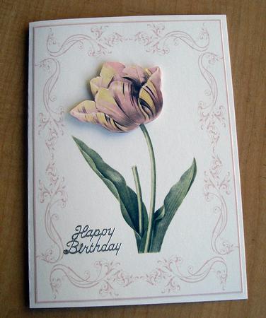 Beautiful Tulip A4 Topper/card by Eunice Roberts