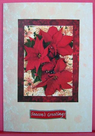 Poinsettia in Red Frame by Eunice Roberts