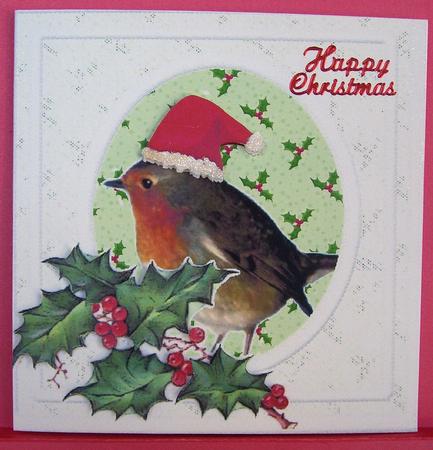Cute Xmas Robin Quick Card Front by Eunice Roberts