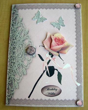 Single Pink Rose and Lace by Eunice Roberts