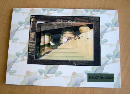 Three Frogs on a Log Happy Birthday by Eunice Roberts