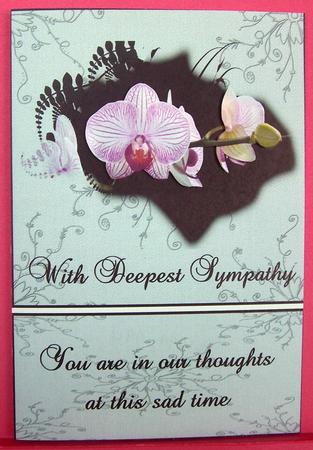 Beautiful Orchids with Deepest Sympathy in Our Thoughts by Eunice Roberts