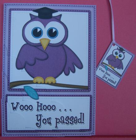 A5 Wise Owl Exam Congrats Felties Scallop Side Stacker by Eunice Roberts