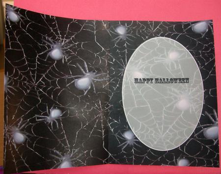 Spider Insert by Eunice Roberts
