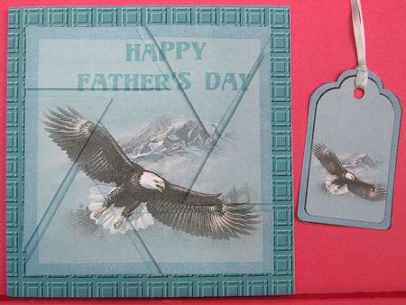 Soaring Eagle Fathers Day Camera Eye Stacker by Eunice Roberts