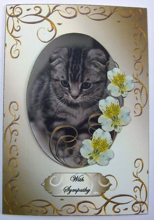 Kitten & Flowers in Swirly Frame Various Occasions Card by Eunice Roberts
