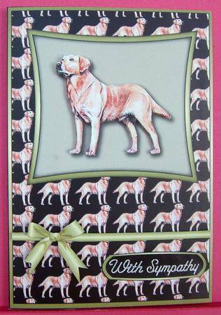Labrador Retriever by Eunice Roberts