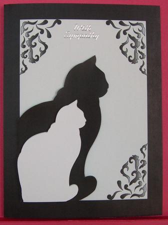 Black and White Cats A4 Card by Eunice Roberts