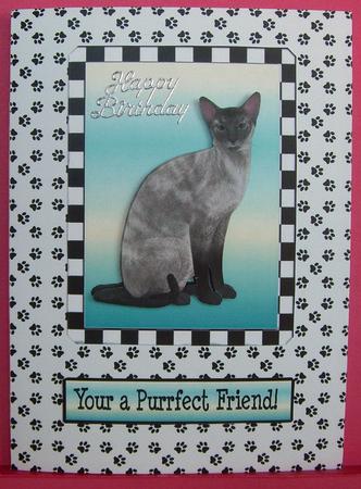 Cat Topper2 by Eunice Roberts