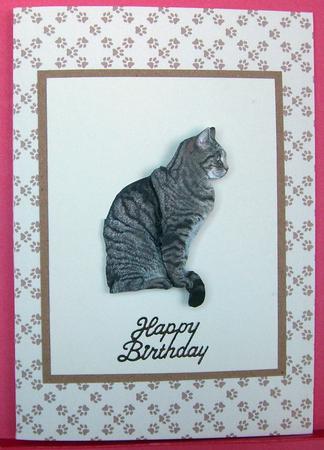 Cats and Dogs by Eunice Roberts