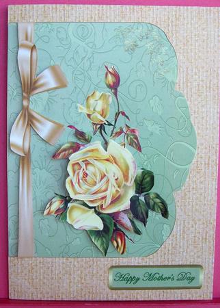 Mother's Rose by Eunice Roberts