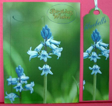 Bluebell Bookmark Greeting Card Front by Eunice Roberts