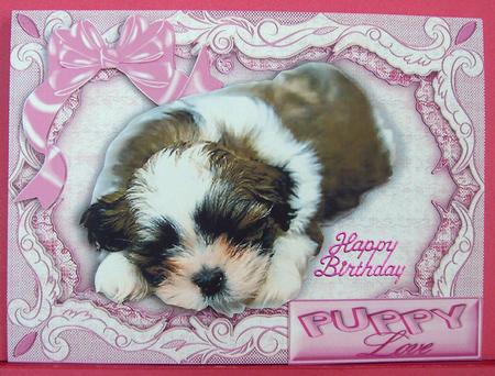 Puppy Love with a Big Pink Bow by Eunice Roberts