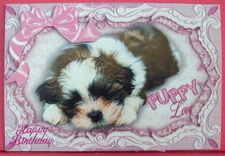 Puppy Love with a Big Pink Bow, A4 by Eunice Roberts