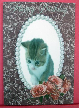 A4 Sweet Kitten and Roses by Eunice Roberts