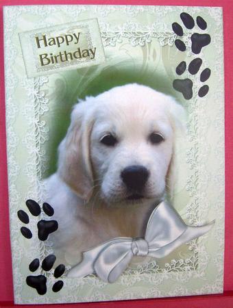 Puppy - i Miss You/birthday,get Well Soon by Eunice Roberts