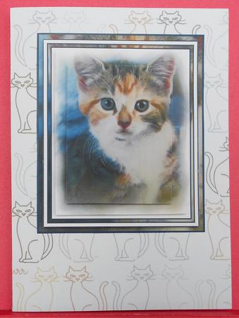 Cute Kitten Pyramid by Eunice Roberts