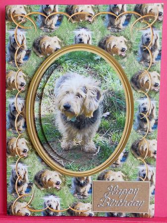 I Can Do Cute Too! by Eunice Roberts