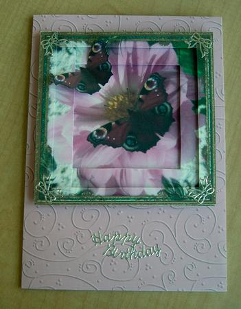 Butterfly and Pink Flower by Eunice Roberts