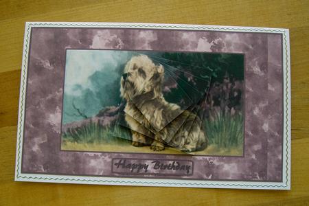 Faithful Friend by Eunice Roberts
