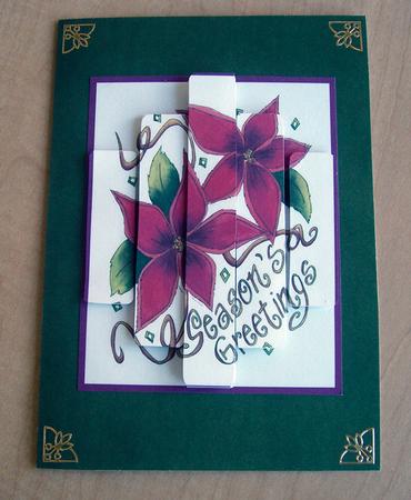 Panelled Poinsettia Greetings by Eunice Roberts