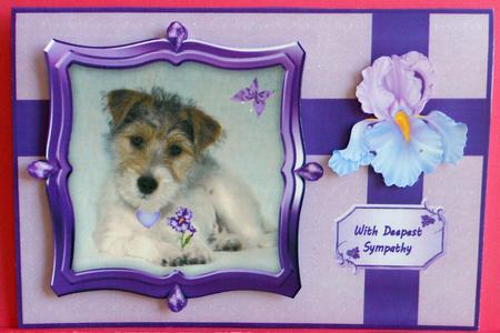 Puppy Sympathy A4 by Eunice Roberts