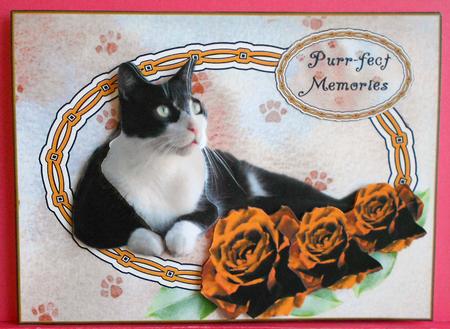 Black and White Cat with Gold Roses Purrfect Memories by Eunice Roberts