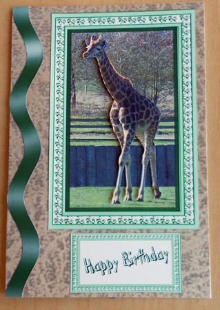 Giraffe by Eunice Roberts