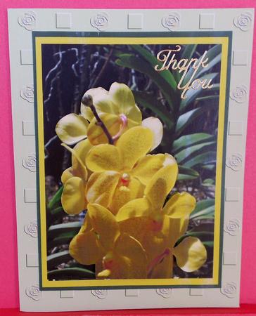 Orchid Toppers by Eunice Roberts