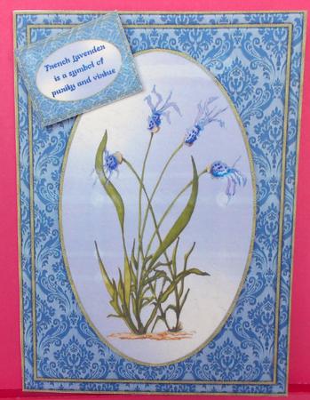 The Meaning of French Lavender - Quick Card with Insert by Eunice Roberts