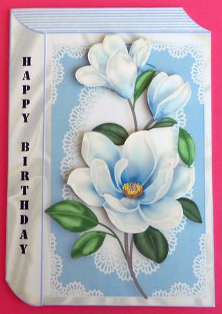 Pretty Blue Flowers in Lace Frame A4 Book by Eunice Roberts