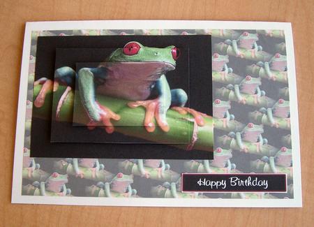 Green Tree Frog Smaller Vellum by Eunice Roberts