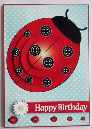 Buttons Ladybird Birthday by Eunice Roberts