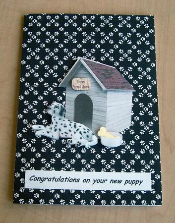 Dogs in Kennels by Eunice Roberts