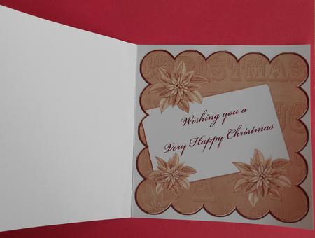 Dpink Poinsettia Edge2 8in Scallop Card Insert Panel Sheet by Eunice Roberts