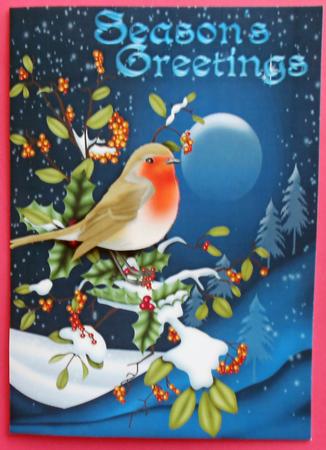 A4 Robin on a Winters Night by Eunice Roberts