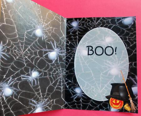 Spider Insert 2 by Eunice Roberts