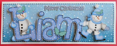 Xmas Large Dl Liam Quick Card N 3D Decoupage by Eunice Roberts