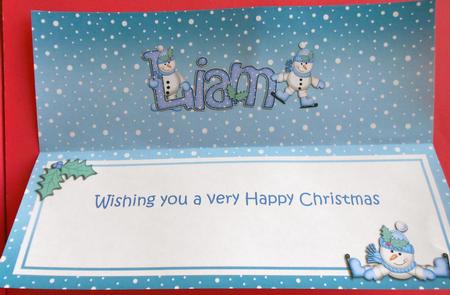 Xmas Liam Matching Large Dl Insert by Eunice Roberts