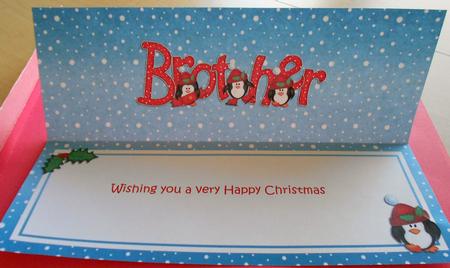Xmas Brother with Penguins Matching Large Dl Insert by Eunice Roberts