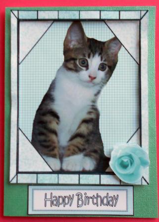 Kitten in Green Frame by Eunice Roberts