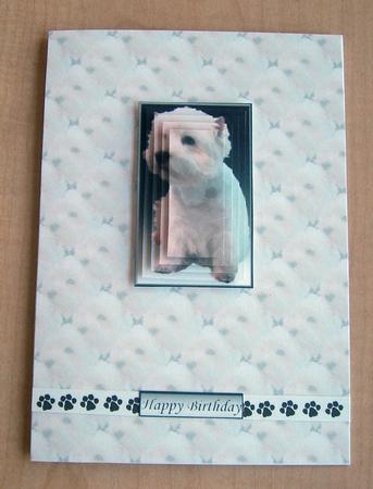 Westie Sat Pyramid with Background by Eunice Roberts
