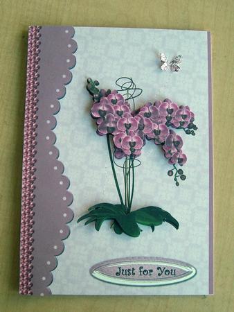 Orchids for Someone Special by Eunice Roberts