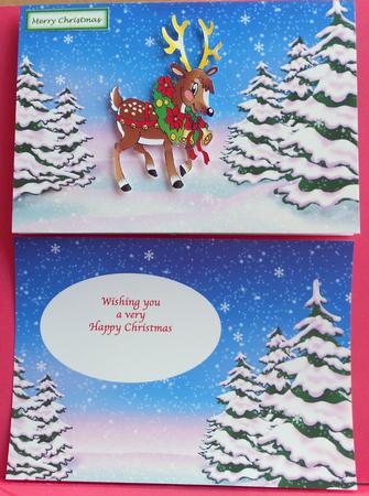 Christmas Time Insert by Eunice Roberts