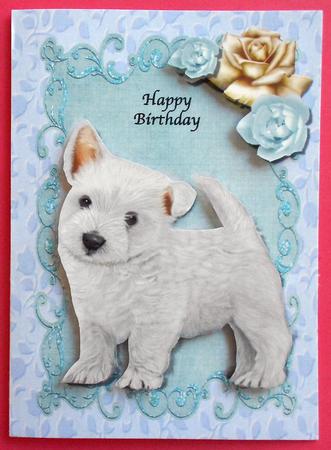 Cute Westie Puppy A4 by Eunice Roberts