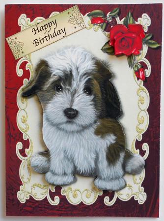 Cute Fluffy Puppy with Red Rose by Eunice Roberts