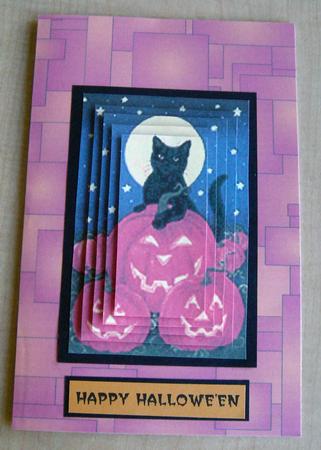 Cat and Pumpkin by Eunice Roberts